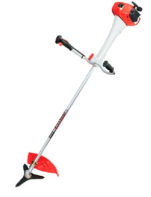 bosmaaiers